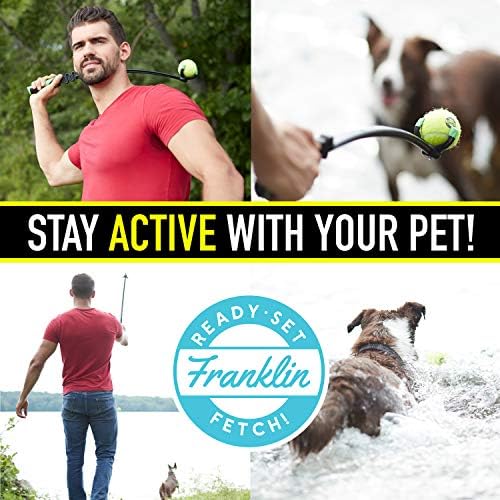 Franklin Pet Squaky - gotov set dohvati teniske kuglice za pse sa škljocačem - savršena igračka za kućne ljubimce za male, srednje