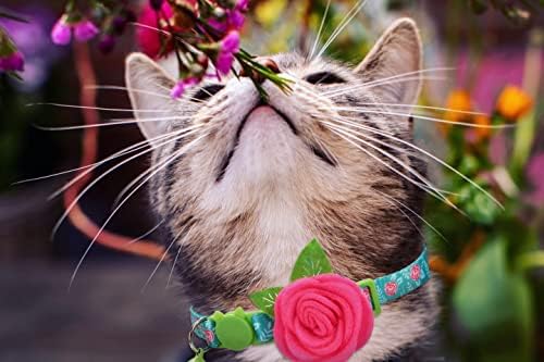 Spring Cat Collar, Floral Kitten Collar Breakaway, Flower Dog Collar za male pse ženski