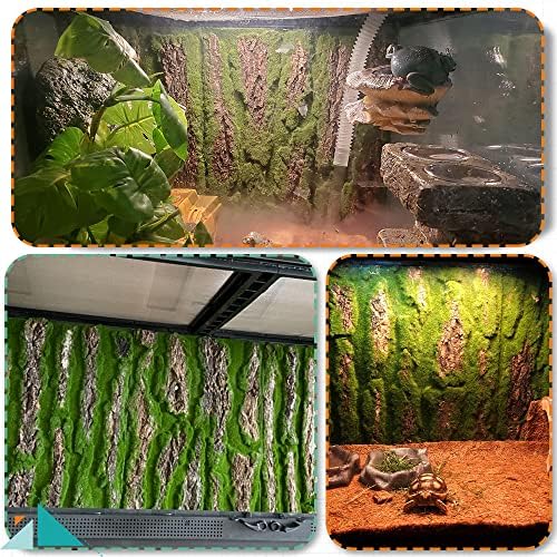 Pozadina terarijuma od gmizavaca Hamiledyi pozadina bradatog Zmajevog rezervoara pozadina staništa Geckoa zidni dekor sa umjetnom