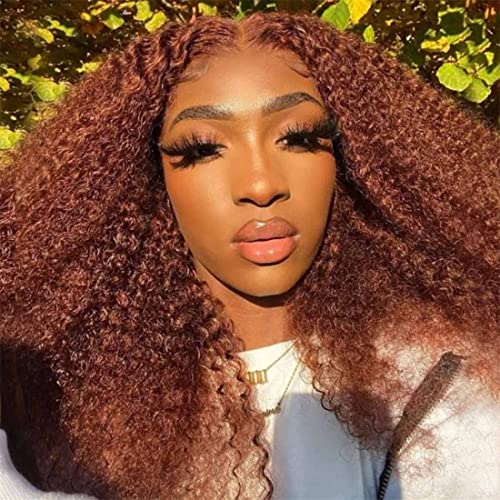 Donmily kosa bez sjaja kestenjasta smeđa 33 boja Afro Kinky kovrčava perika za ljudsku kosu za žene 12a brazilske perike za ljudsku